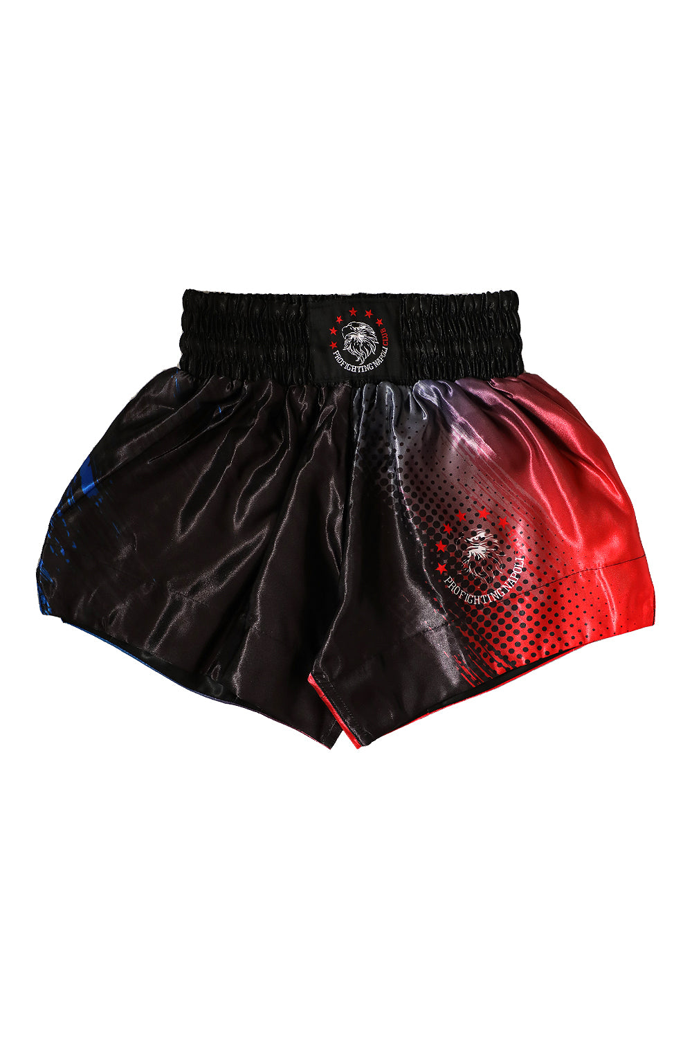 Shorts Muay Thai - PFNC Multicolor