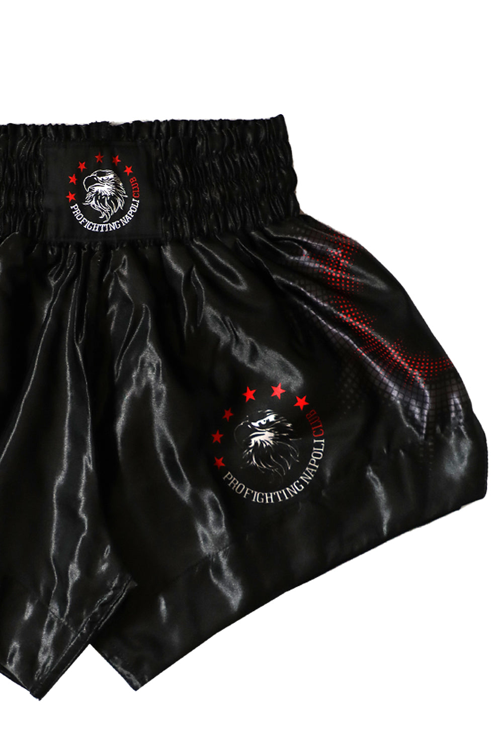 Shorts Muay Thai - PFNC