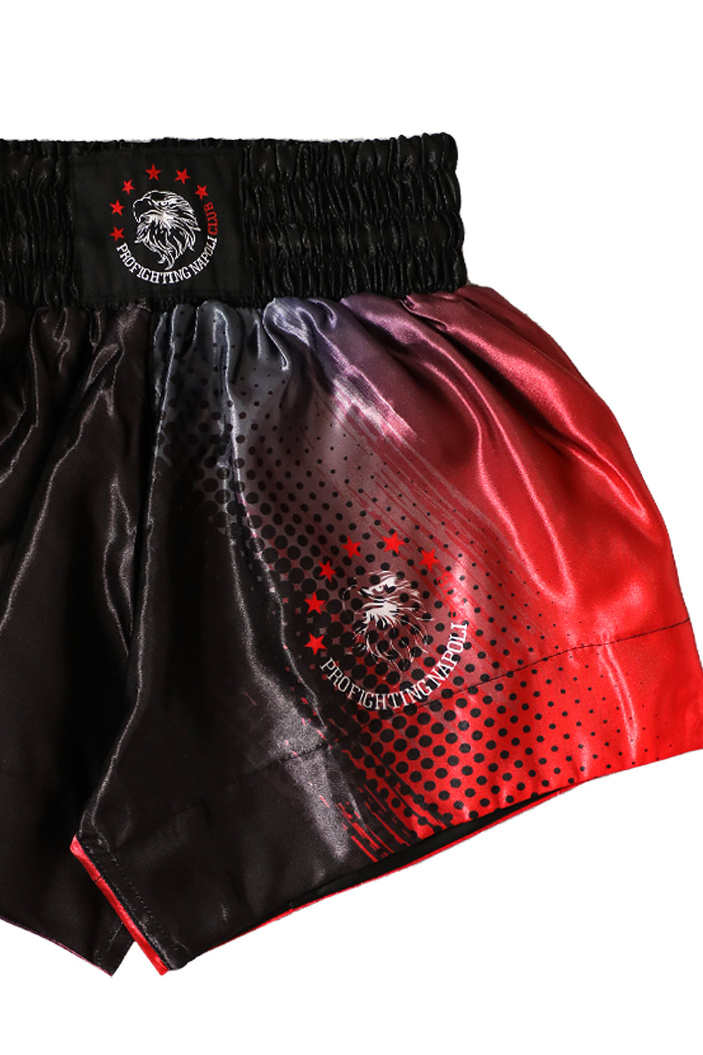 Shorts Muay Thai - PFNC Multicolor