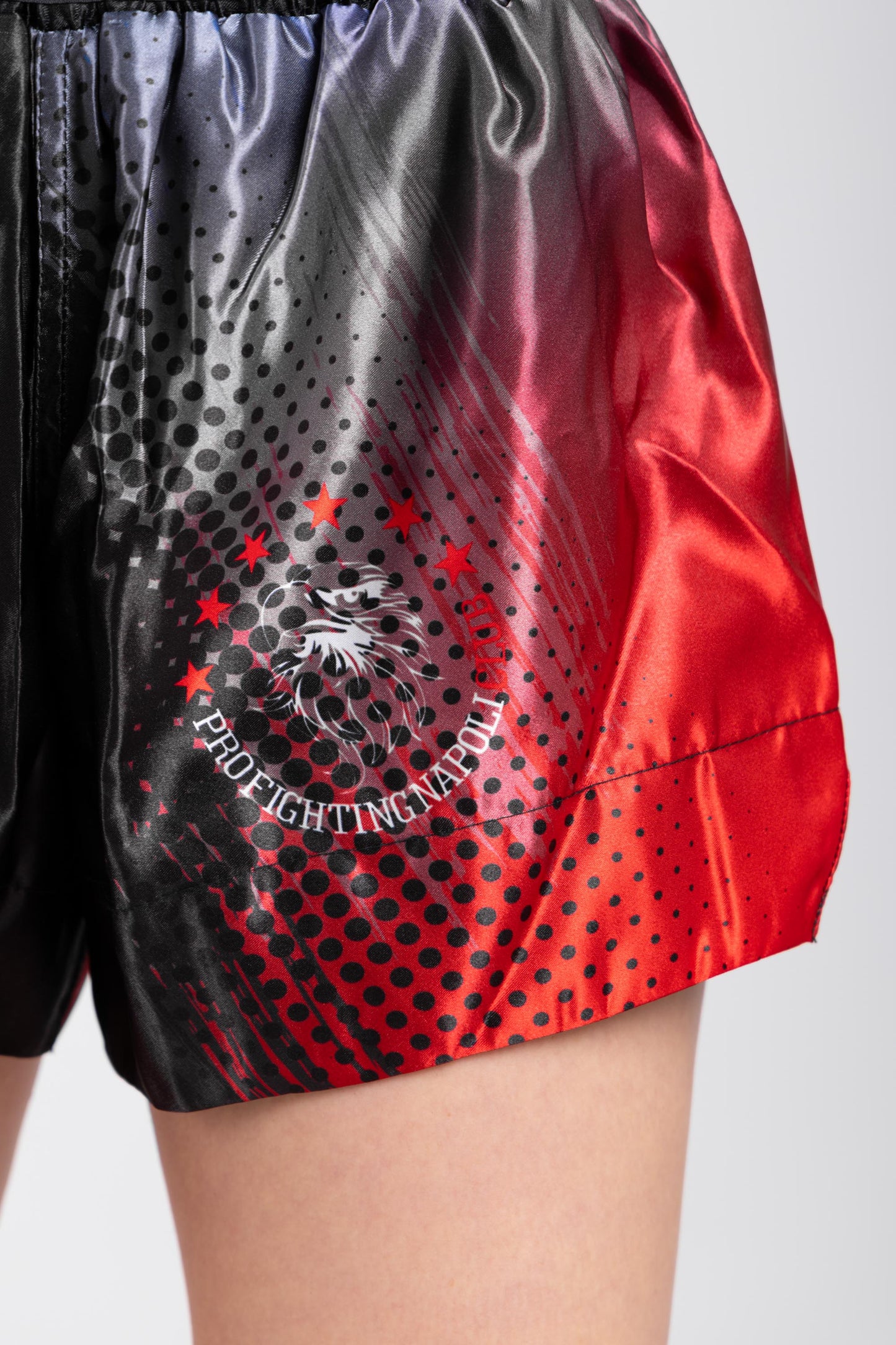 Shorts - Muay Thai Multicolor PFNC