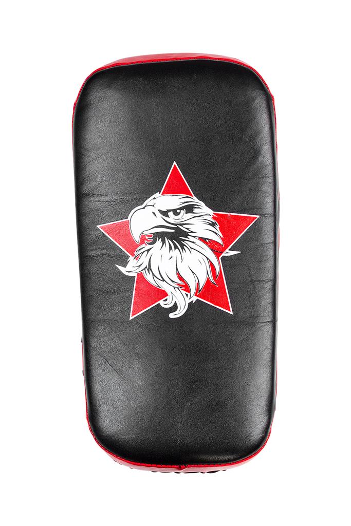 PAO BOXING - PFNC